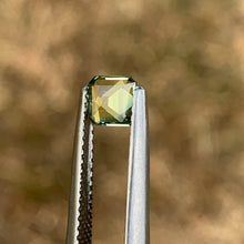 0.64ct Parti Sapphire, Octagon