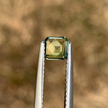 0.64ct Parti Sapphire, Octagon