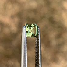 0.64ct Parti Sapphire, Octagon