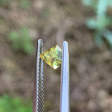 0.74ct Yellow Sapphire, Freeform