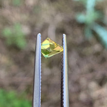 0.74ct Yellow Sapphire, Freeform