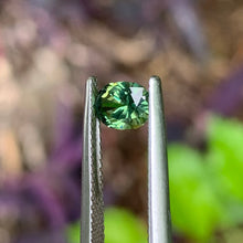 0.76ct Green Sapphire, Oval