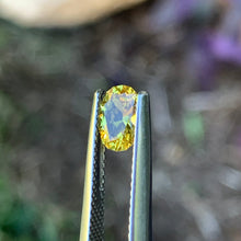 0.78ct Yellow Sapphire, Oval