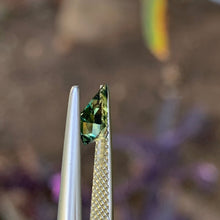 0.7ct Parti Australian Sapphire, Kite Shape
