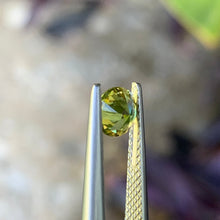 0.7ct Yellow Australian Sapphire, Round