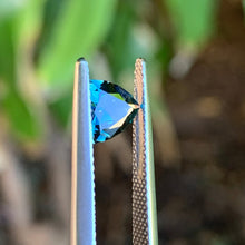 0.81ct Teal Sapphire, Trillion