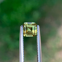 0.89ct Wattle Parti Sapphire, Octagon