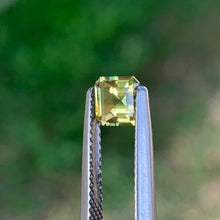 0.89ct Wattle Parti Sapphire, Octagon