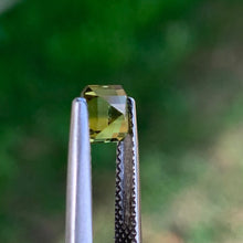 0.89ct Wattle Parti Sapphire, Octagon