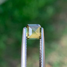 0.89ct Wattle Parti Sapphire, Octagon