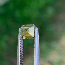 0.89ct Wattle Parti Sapphire, Octagon