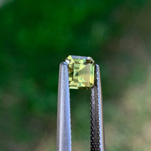 0.89ct Wattle Parti Sapphire, Octagon