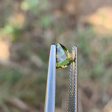 0.93ct Parti Sapphire Trillion