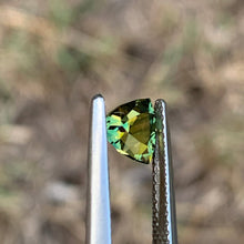 0.98ct Wattle Sapphire Trillion