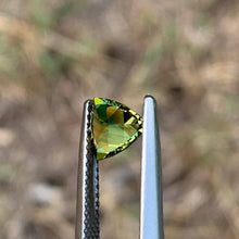 0.98ct Wattle Sapphire Trillion