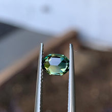 1.02ct Parti Australian Sapphire, Oval