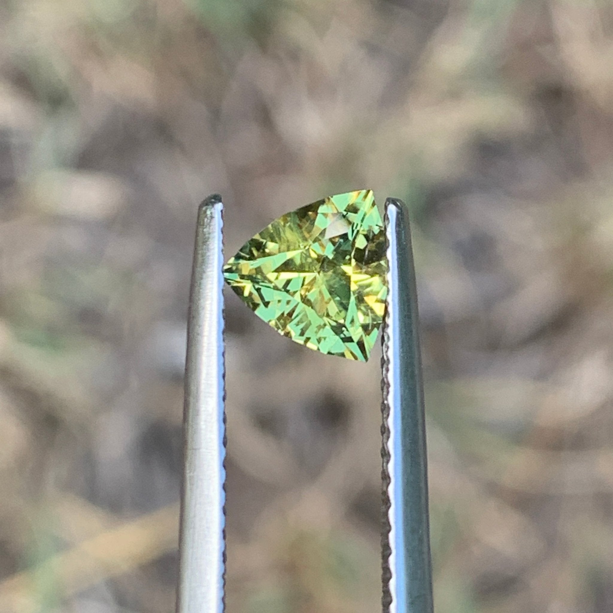 1.04ct Wattle Sapphire Bi Color Trillion