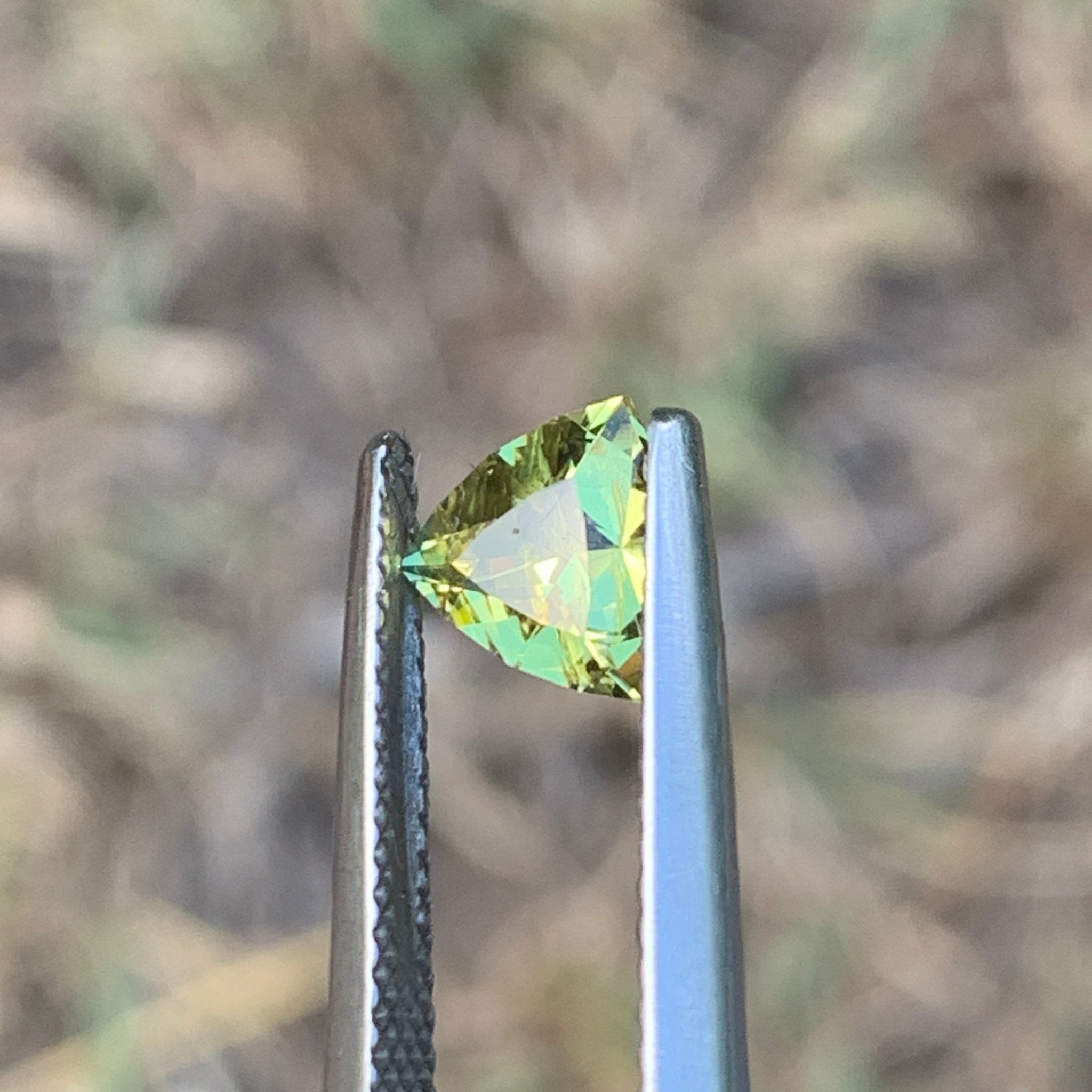 1.04ct Wattle Sapphire Bi Color Trillion