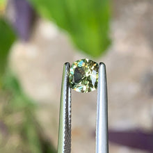 1.0ct Light Yellow Sapphire, Cushion
