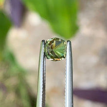 1.0ct Light Yellow Sapphire, Cushion