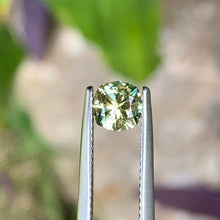 1.0ct Light Yellow Sapphire, Cushion