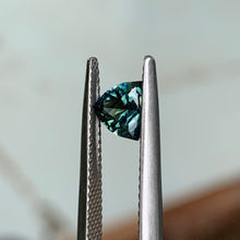 1.0ct Parti Sapphire, Trillion