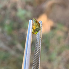 1.0ct Yellow Sapphire Freeform