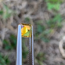 1.1ct Golden Yellow Sapphire, Square