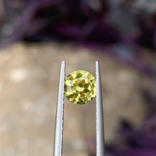 1.24ct Light Yellow Australian Sapphire, Round
