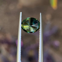 1.27ct Parti Australian Sapphire, Oval