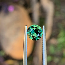 1.28ct Parti Sapphire, Round