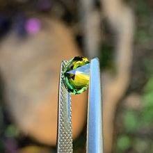 1.28ct Parti Sapphire, Round