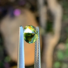 1.28ct Parti Sapphire, Round