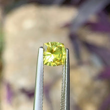 1.29ct Yellow Sapphire, Cushion
