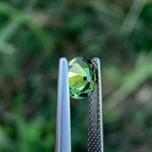 1.2ct Green Sapphire, Round