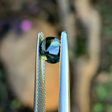 1.2ct Parti Sapphire, Round