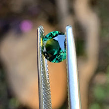 1.2ct Parti Sapphire, Round