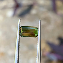 1.37ct Wattle Parti Australia Sapphire, Emerald Shape