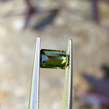 1.37ct Wattle Parti Australia Sapphire, Emerald Shape