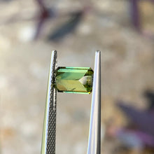 1.37ct Wattle Parti Australia Sapphire, Emerald Shape