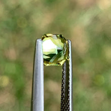 1.39ct Parti Sapphire, Octagon