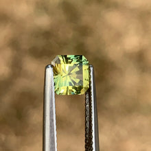 1.39ct Parti Sapphire, Octagon