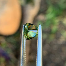 1.3ct Parti Sapphire, Trillion