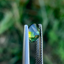 1.3ct Wattle Parti Sapphire, Round