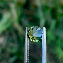 1.3ct Wattle Parti Sapphire, Round