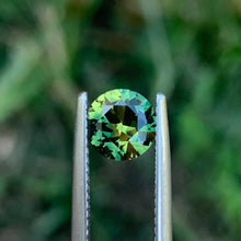 1.3ct Wattle Parti Sapphire, Round