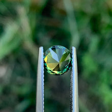 1.3ct Wattle Parti Sapphire, Round