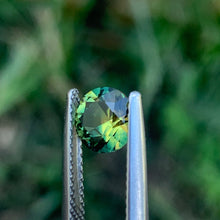 1.3ct Wattle Parti Sapphire, Round