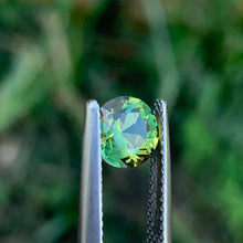 1.3ct Wattle Parti Sapphire, Round