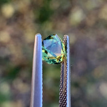 1.3ct Wattle Sapphire, Trillion